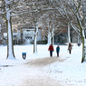 IMG_9715_Snow_Marlow_park.jpg