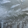 MA_Frost_Feathers_DSC0074.jpg