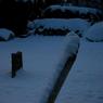 Martyn_J_-Heavy_snow.jpg