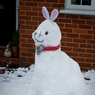 Snow-Rabbit-in-St.-Marks-Rd.jpg