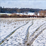 Thames_Path_near_Culham.jpg