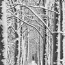 _DSC1876.jpg
