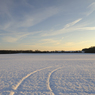 _DSC2267.jpg