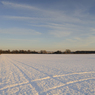 _DSC2268.jpg