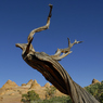 _DSC2232v2.jpg