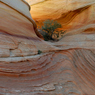 _DSC2430.jpg