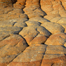 _DSC3645.jpg