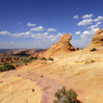 _DSC4037.jpg