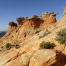 _DSC4056.jpg
