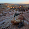 _DSC4091.jpg