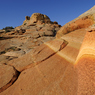 _DSC4105.jpg