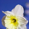 _MG_0591_edited-1.jpg