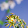 _MG_0606_edited-1.jpg