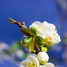 _MG_0609_edited-1.jpg