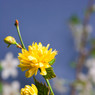 _MG_0610_edited-1.jpg