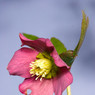 _MG_0618_edited-1.jpg