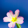 _MG_0633_edited-1.jpg