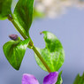 _MG_0634_edited-1.jpg