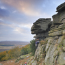 _DSC1588.jpg