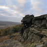 _DSC1874.jpg