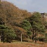 stanage-1.jpg