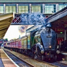 Bittern_arriving_at_Slough.jpg