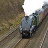 Bittern_westbound_near_Waltham_St_Lawrence.jpg