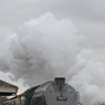 IMG_1301_edited-3.jpg