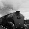 IMG_1302_edited-4-1.jpg
