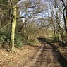 ColliersLanenrGurdonFarm.jpg