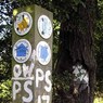 SignsMaidensgrove.jpg