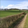 BridlewaynorthofStonor.jpg