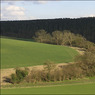 ViewoverBalhamsFarm.jpg