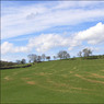 ViewtowardsTurvillePark.jpg