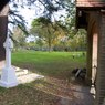 church_gate.JPG
