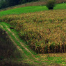 PA280007m3reducedforCCwebsite.jpg