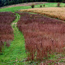 PA280015m2m3reducedforCCwebsite.jpg
