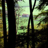 PA280069m3reducedforCCwebsite.jpg