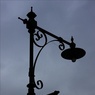 LampSilhouettebyEdDoughty.jpg