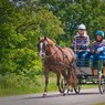 GreatParkJune09-4.jpg