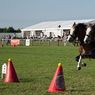 IMG_4195_edited-1resize.jpg