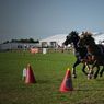 IMG_4222_edited-1resize.jpg