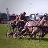 Scurry_driving_edits-5resize.jpg