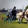 Scurry_driving_edits-6resize.jpg