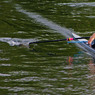 Sculling_edited-2.jpg