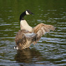 canon_222_club_walk_003.JPG