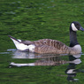 canon_222_club_walk_041.JPG