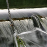 canon_222_club_walk_183.JPG