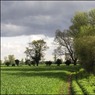 GreenWayeast.jpg
