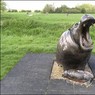 NorthTownHippo.jpg